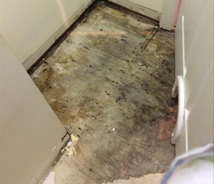 Subfloor and hardwoods was completely soaked from water damage